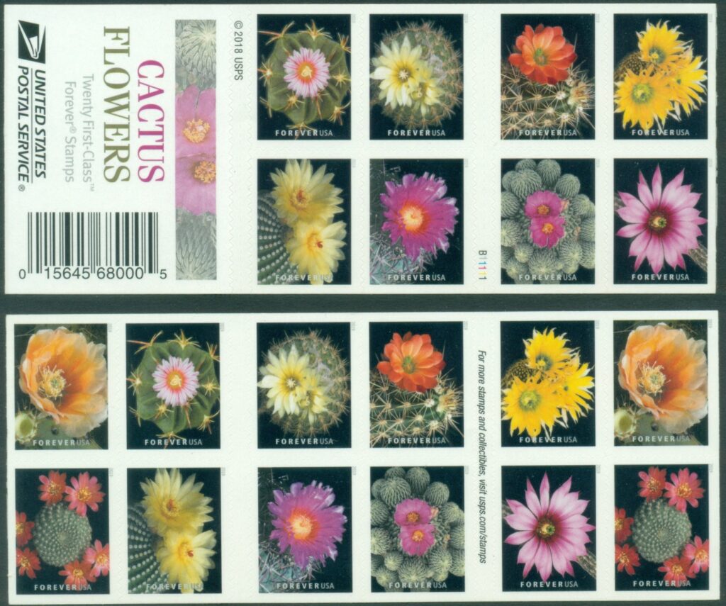 USA-2019-Flora-Cactus-Flowers-Booklet-20-MUH