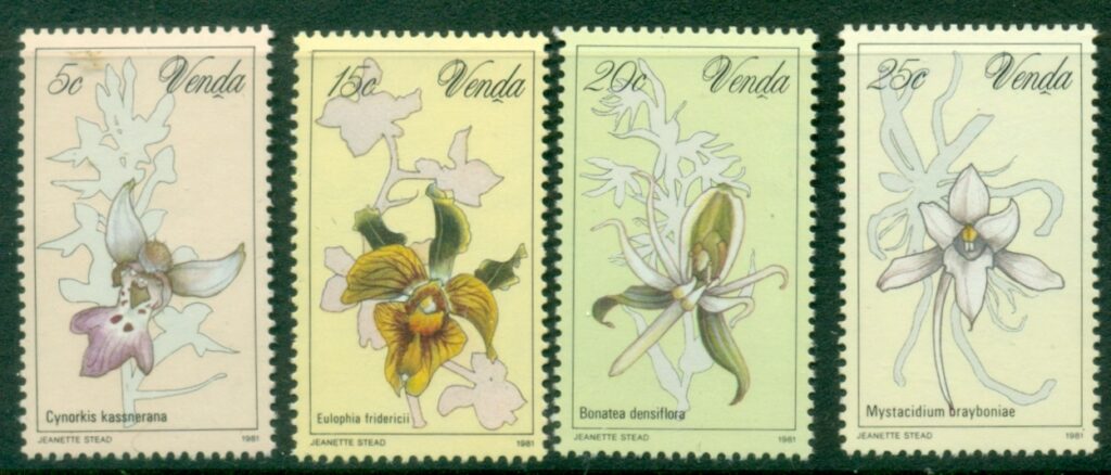 Venda-1981-Flowers-Orchids-MUH