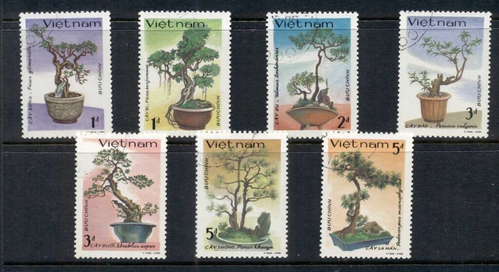 Vietnam-1986-Bonsai-CTO