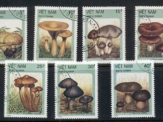 Vietnam-1987-Funghi